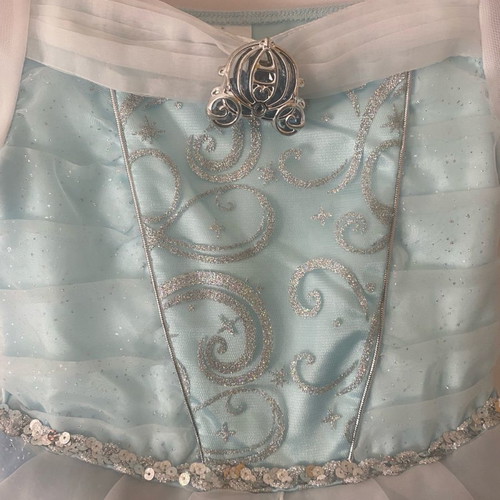 Cinderella costume from Disneyland worn for 2-3 hours