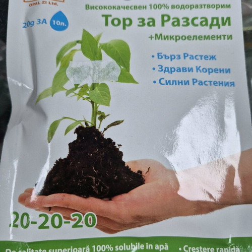 Seedling fertilizers new condition