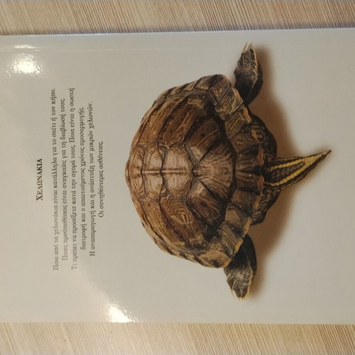 Turtles Book new, detailed care guide in Greek