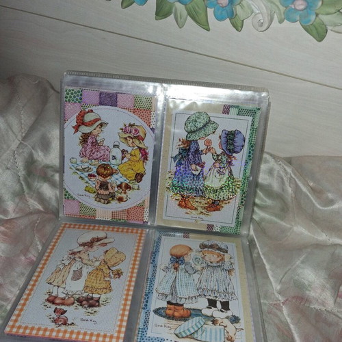 Sarah Kay Panini album new with photocards