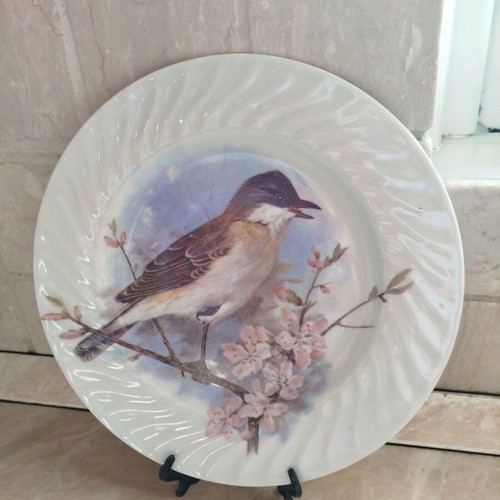 Vintage wall plate used in pink and sky blue tones