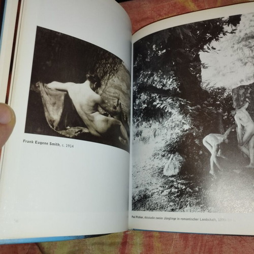 Male Nudes book by David Leddick, Taschen