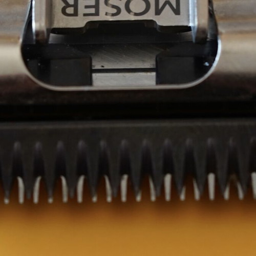 Oster Moser Replacement Head Clipper 1mm 30F like new
