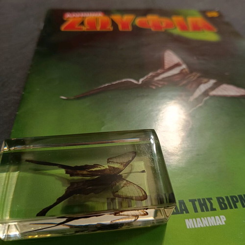Alithina Zoyfia Issue 38 used