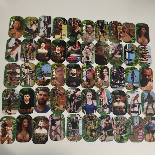 Survivor 2017 collectible caps like new