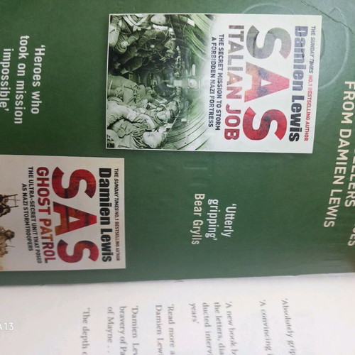 Book SAS Brothers in Arms by Damien Lewis like new
