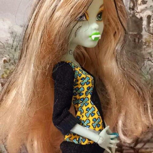 Monster High Freaky Fusion Frankie Stein doll 2014