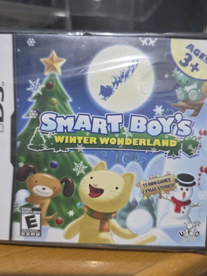 Smart Boy's Winter Wonderland Nintendo DS new