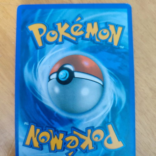 Pokémon Gyarados ex new with 1 random card
