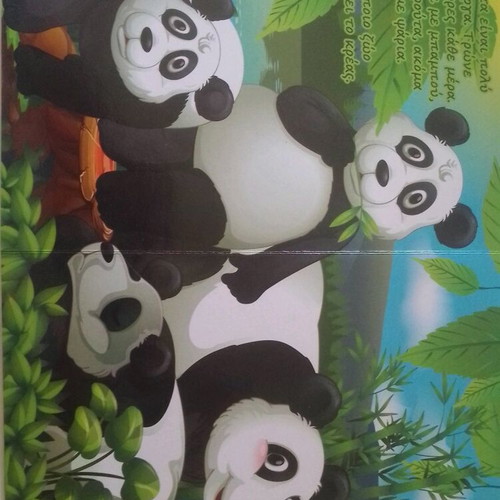 Learning Jungle Animals children's book like new