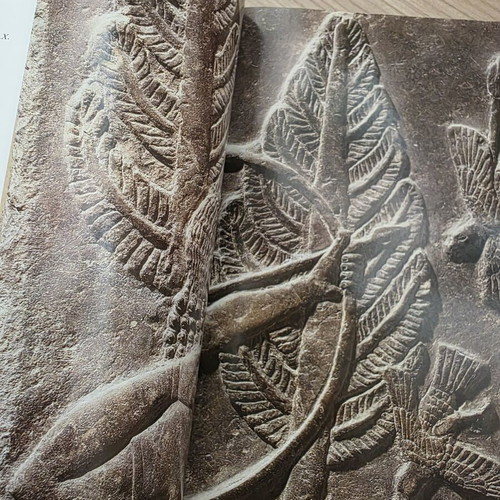 Assyrians The Conquerors of Mesopotamia art book like new