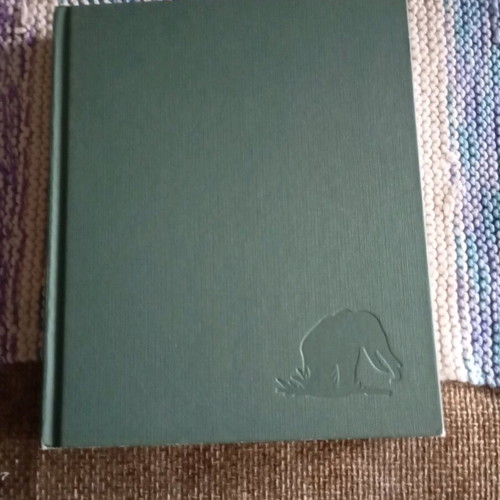 The Jungle Book like new