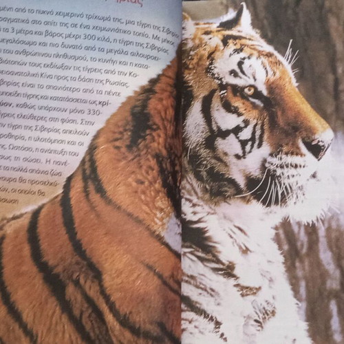 Kalokairi Gemato Chroma book like new for 5th and 6th grade