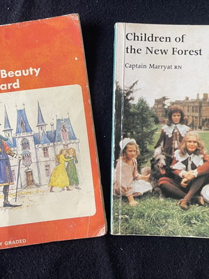 Oxford and Longman Readers English books used, pack of 2