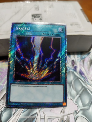 Raigeki platinum secret rare card like new