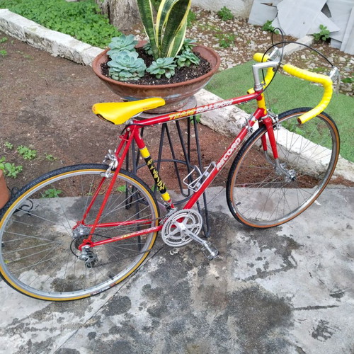 Team Raleigh Racing Collectible Bicycle like new, red