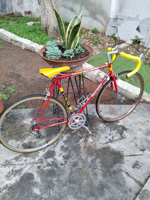 Team Raleigh Racing Collectible Bicycle like new, red
