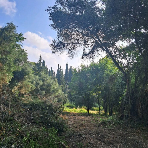 Land 5.6 stremma near Corfu city, buildable