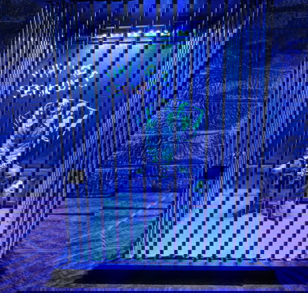 Joker Cage
