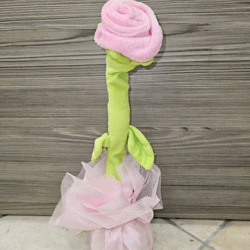 Cactus Toy like new with songs and voice repetition