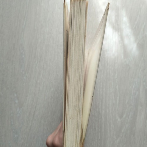 Against the Wind used book by Nordtrundt Bogge-Erli