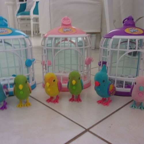 Little Live Pets 6 birds and cages