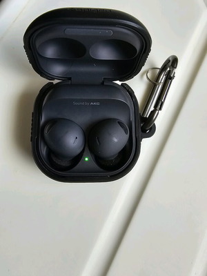 Samsung buds 2 pro + Spiegen case