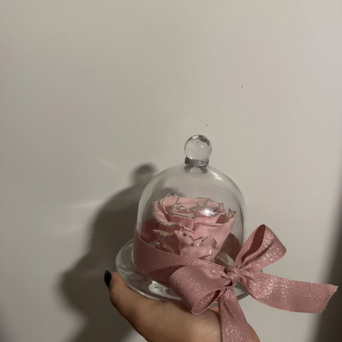 Forever Rose in Glass