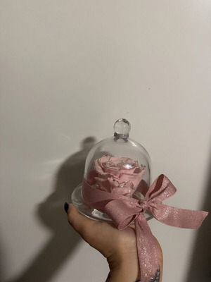 Forever Rose in Glass