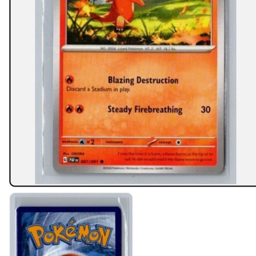 Pokemon card new
