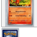 Pokemon card new