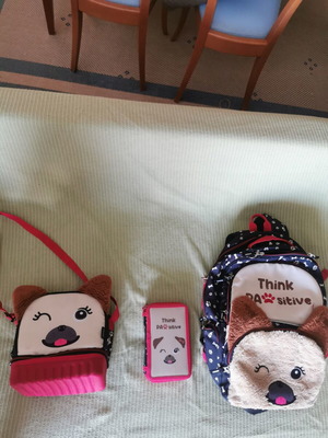 School bag set used with lunch bag and pencil case