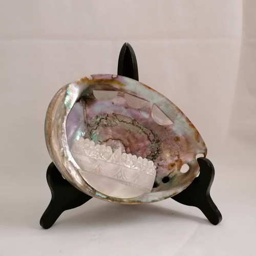 Large Abalone Shell Pacific Mother of Pearls used