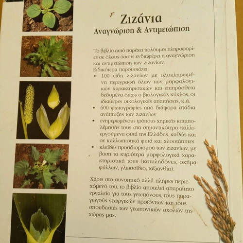 Zizania book used, recognition and control by Vasilakoglou
