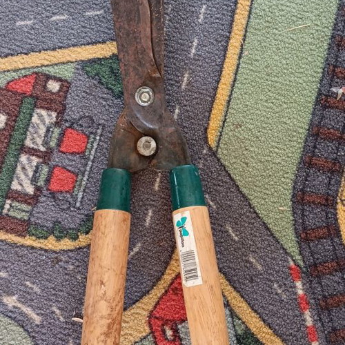 Papillon hedge shears with wooden handles