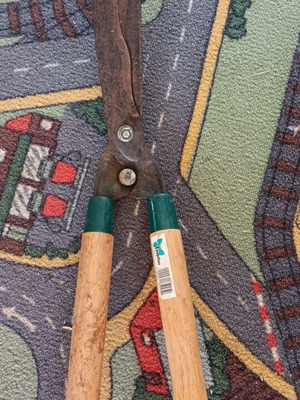 Papillon hedge shears with wooden handles