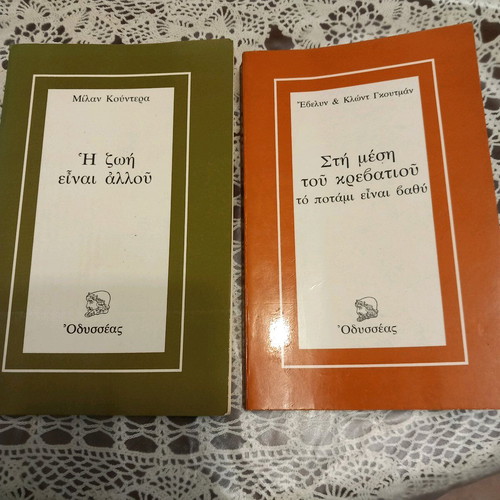Pack of two books like new, Life Is Elsewhere and The River Is Deep in the Middle of the Bed