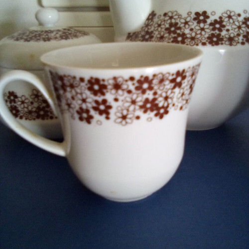 Tea set used with teapot, sugar bowl, creamer and two cups Ionian porcelain
