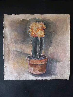 Watercolor painting used, cactus in pot signed by artist