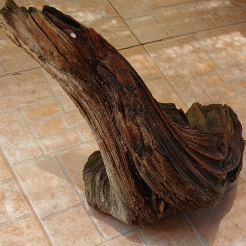 Aquarium wood decorative, used