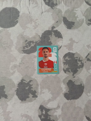 FIFA World Cup 2026 Sticker New
