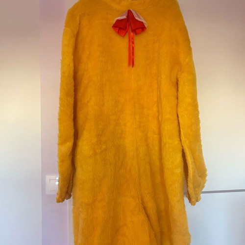 Carnival costume used, size Large