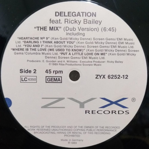 Delegation Feat. Ricky Bailey The Mix vinyl single used, 1989, Germany