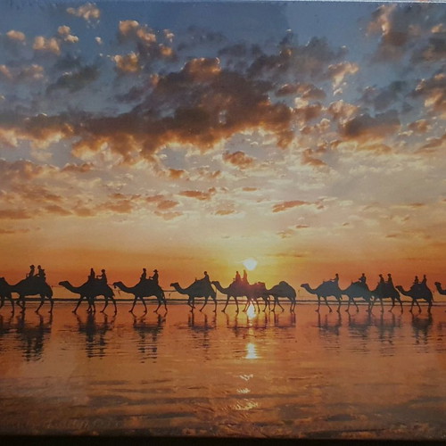 Puzzle 1000 pieces new with 68x48 cm frame