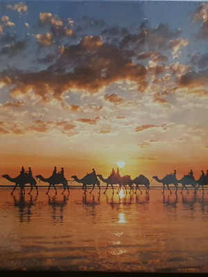 Puzzle 1000 pieces new with 68x48 cm frame