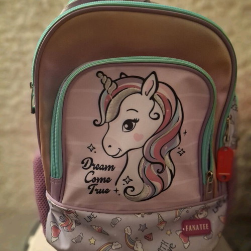 School bag with wheels for kindergarten like new