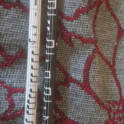 Set of 2 black and white music-themed pencils