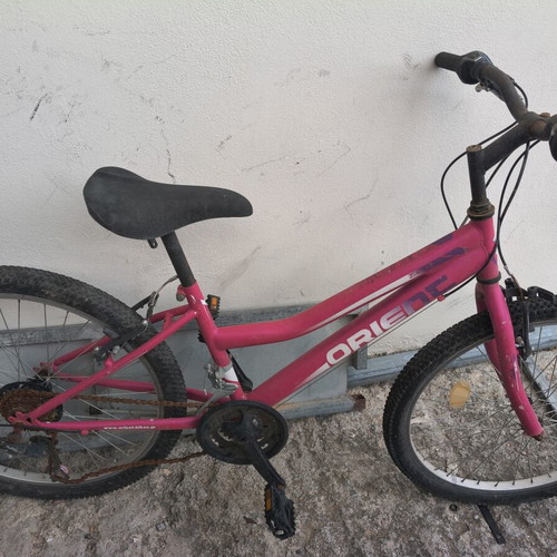 Orient 24" kids bike