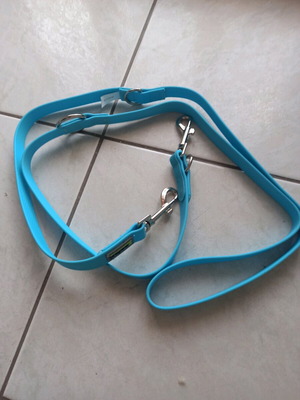 Dog leash new