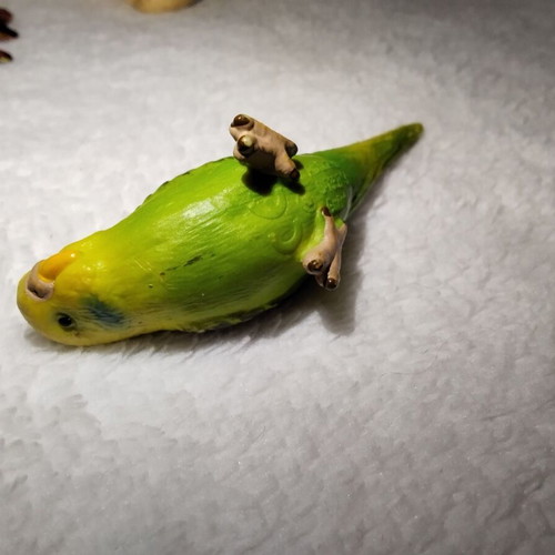 Green Budgie Schleich 14408 vintage 7 cm used